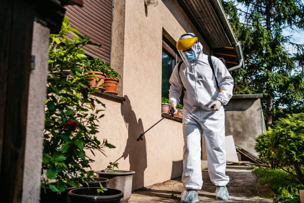 Best Mosquito Control Services  in Brandywine, MD