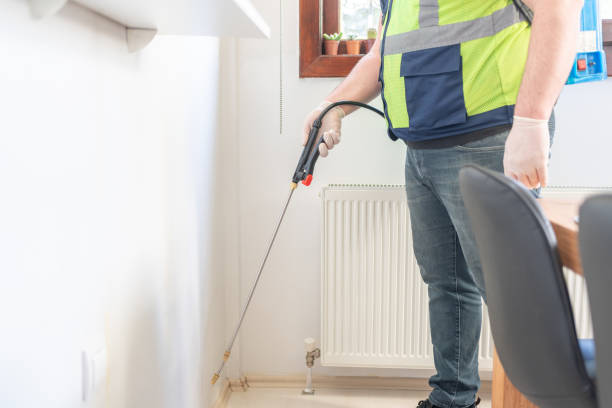Best Pest Control for Homes  in Brandywine, MD