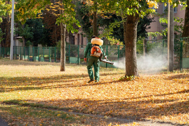 Best Pest Control Near Me  in Brandywine, MD