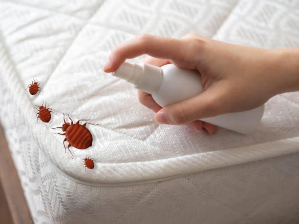 Best Pest Control for Businesses  in Brandywine, MD
