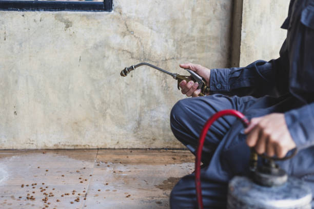Best Wasp Removal Services  in Brandywine, MD